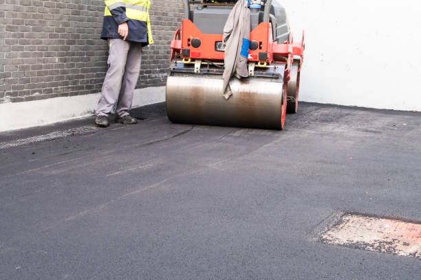 Best Decorative Concrete Driveways  in El Paso, TX